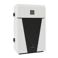 Стальной газовый котел Direct - 20
